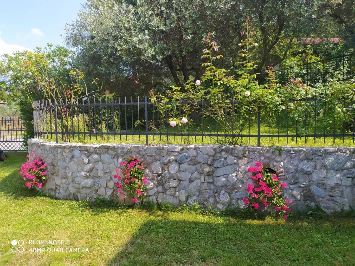 Mary Rose Apartments Oliveto Lario 外观 照片