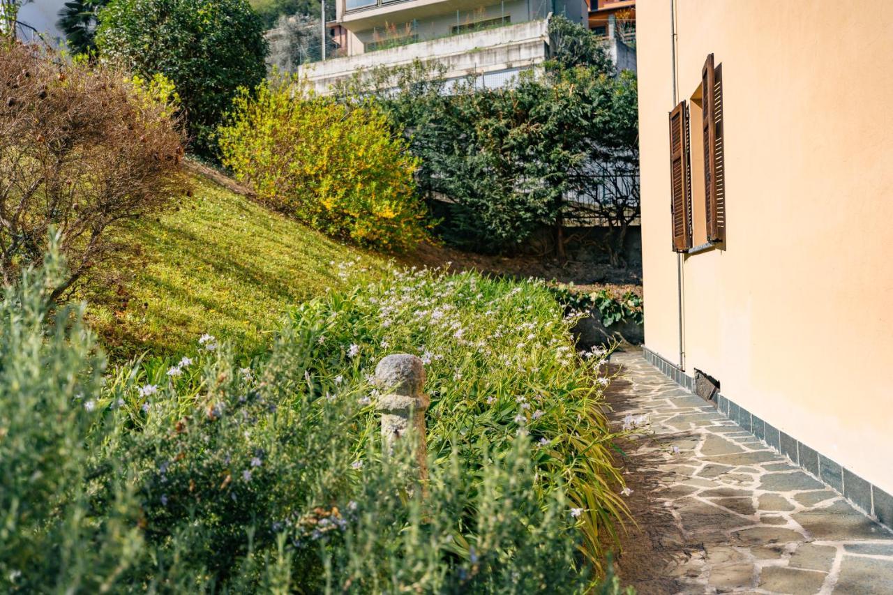 Mary Rose Apartments Oliveto Lario 外观 照片
